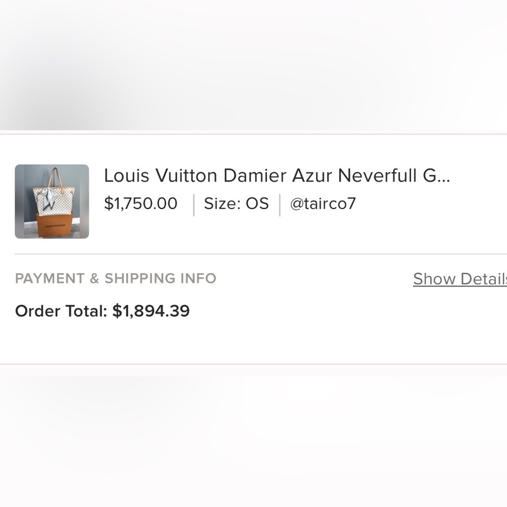 Louis Vuitton Damier Azur Neverfull Pouch - Picture 14 of 15